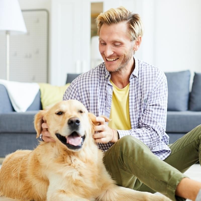middle aged man smiling sitting on floor of bright lounge room scratching under ears of golden retriever dog