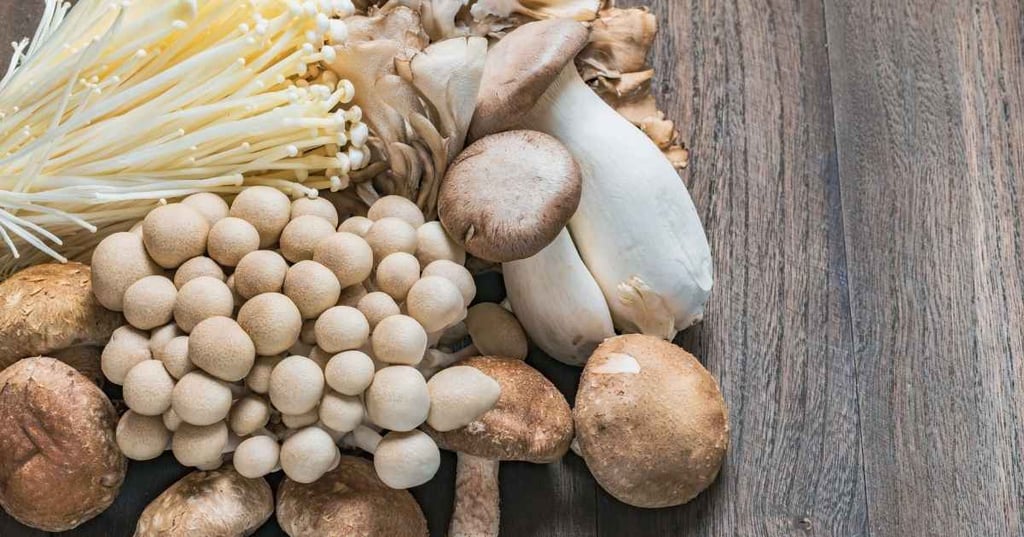various medicinal mushrooms displayed on timber table