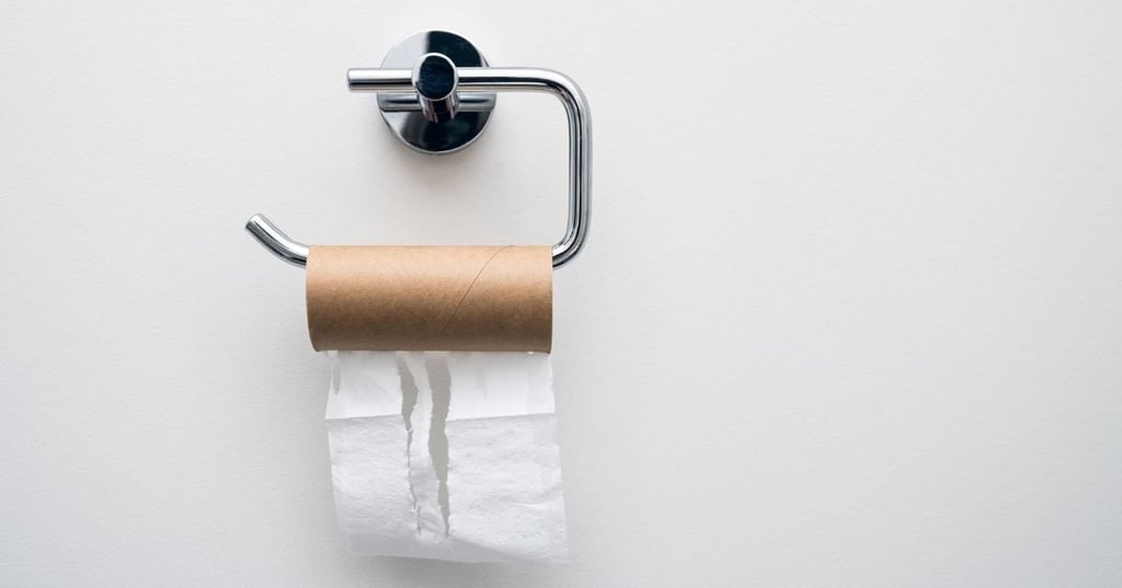 poo-gut-health empty toilet roll hanging on chrome toilet roll holder