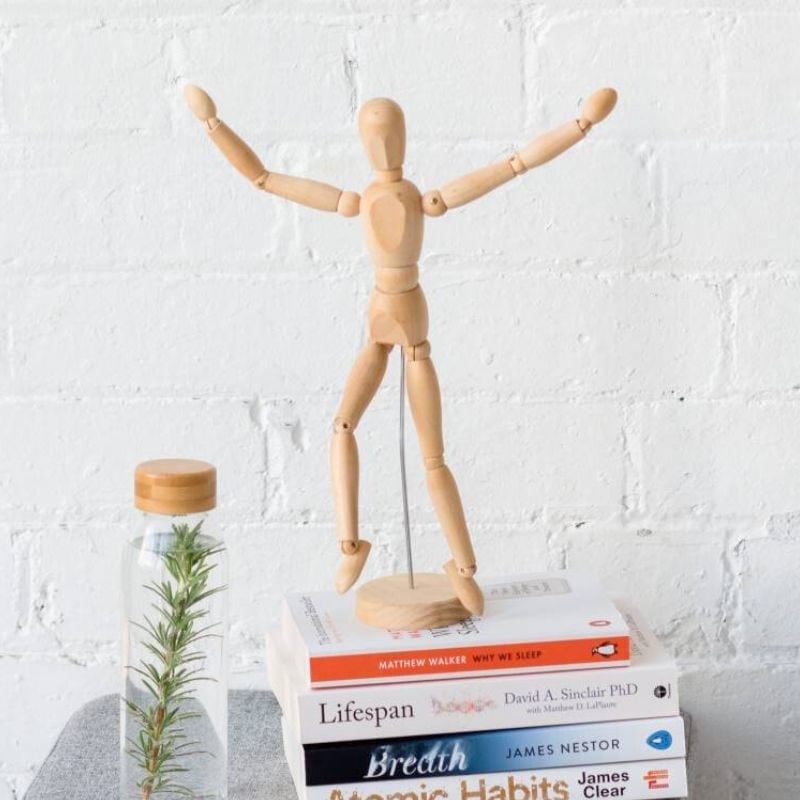 success-stories-hero wooden figurine jumping for joy positioned on top of wellness books