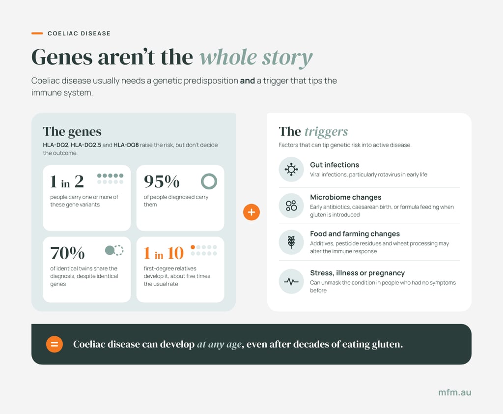 infographic with two columns representing genes and environmental triggers that contribute to coeliac disease