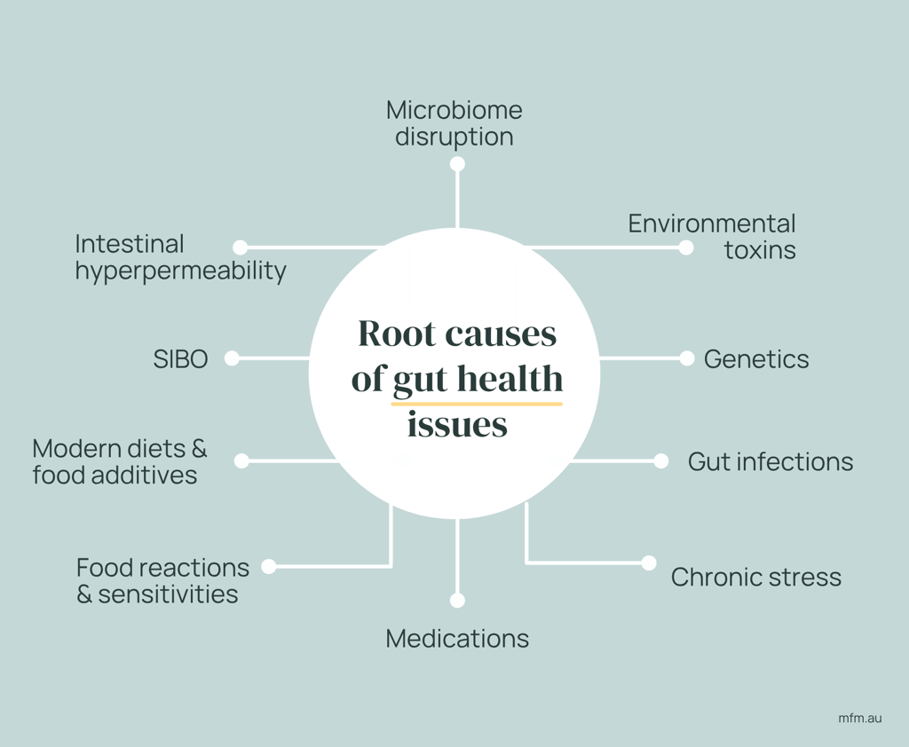 infographic with large circle representing root causes of gut health issues linking out to causal factors
