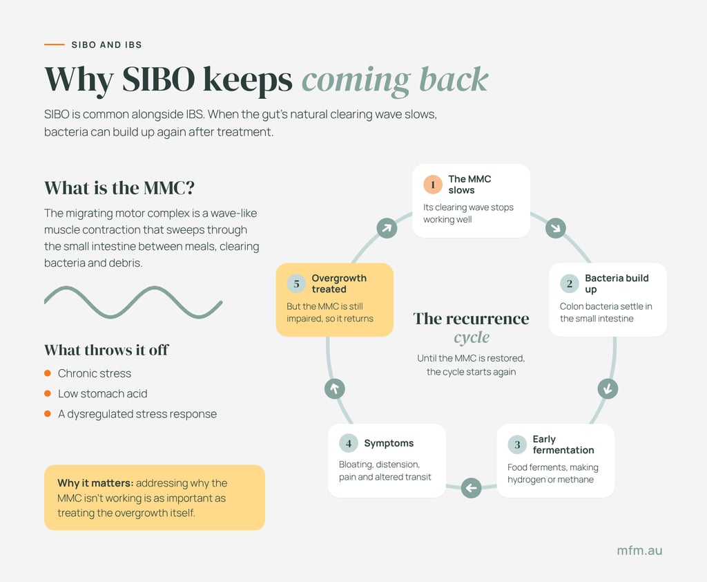 infographic showing continuous loop or recurrance cycle if the mmc slows